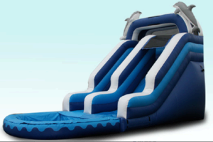 14 ft Dolphin Diver (pool) 14 ft Dolphin Diver (pool)